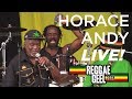 Horace Andy Live @Reggae Geel Belgium 2018