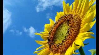 Claudine Longet/The Beatles - Good Day Sunshine (remix2008)