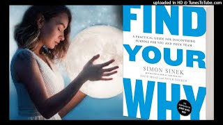 Find Your Why | Hindi short book summary | hindi audio book.