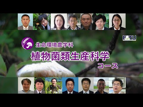 アンゴラ、ナミビア、南アフリカ