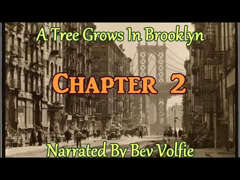 A Tree Grows In Brooklyn Ch 2