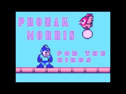 Prozak Morris- For The Birds