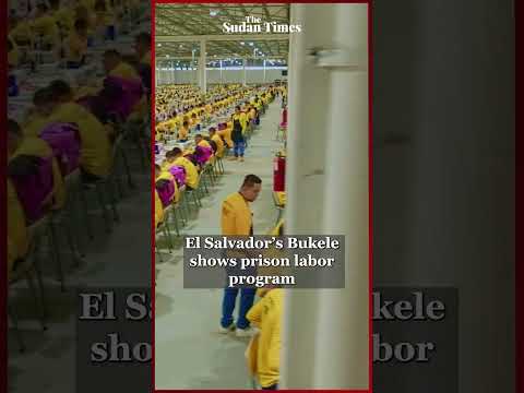 El Salvador’s Bukele shows prison labor program