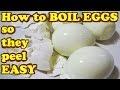 HARD BOILED EGGS How To BOIL EGGS So They PEEL EASY And NO Eggshells Stick Sticking HomeyCircle