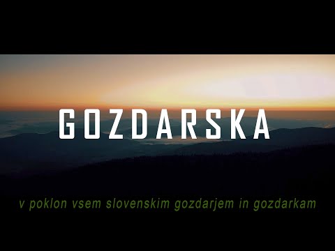 Wild Nature Band - Gozdarska (Official Video)