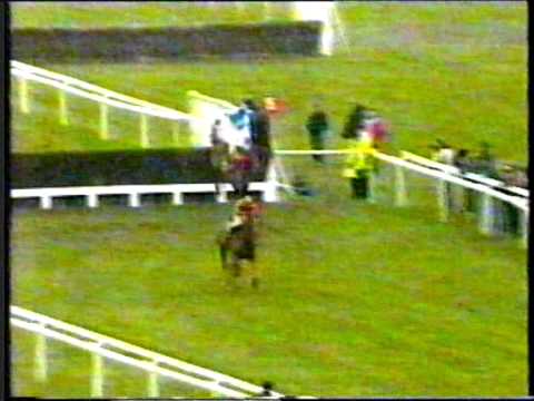1996 - Cheltenham - Fulke Walwyn Kim Muir Handicap Chase - Stop The Waller