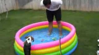Another attempt to get her used to water.