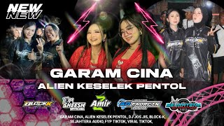 Download lagu GARAM CINA V2 ALIEN KESELEK PENTOL TEAM SHEESH Ft AR FUNDURECTION  mp3