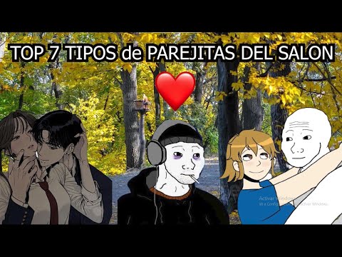 TOP 7 TIPOS de PAREJITAS DEL SALON