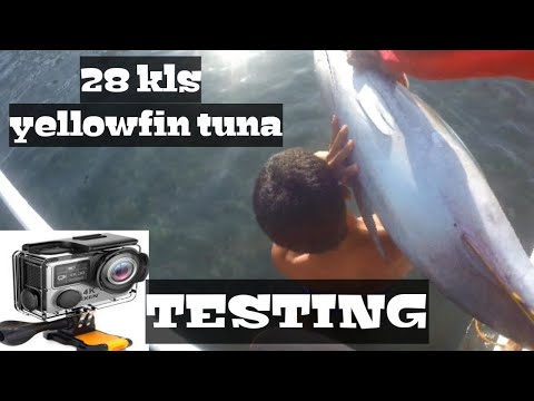 sinubukan namin Ang go pro nakadali Ng 28 kls yellowfin tuna.