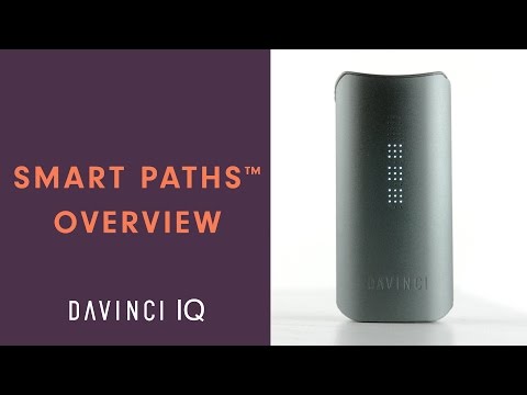 Overview of the DaVinci IQ Smart Paths Technology