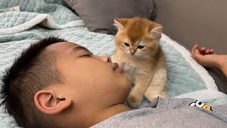 So cute and funny!The kitten guards me while I sleep.Cute animal video.Hold tight and sleep happily