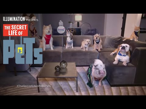 The Secret Life of Pets (Viral Video 'NBA Pets 1')