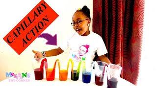 Capillary Action Explained | Kids Science Experiment | How plants Grow