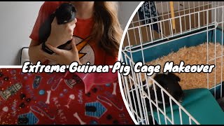 Extreme Guinea Pig Cage Makeover