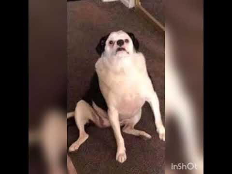 Young Multi vs Young Kai (but only kai on beat)