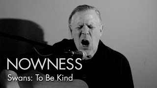 Swans in “To be Kind: A Short Film”