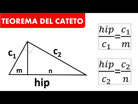 TEOREMA DEL CATETO EXPLICADO Y EJERCICIOS RESUELTOS