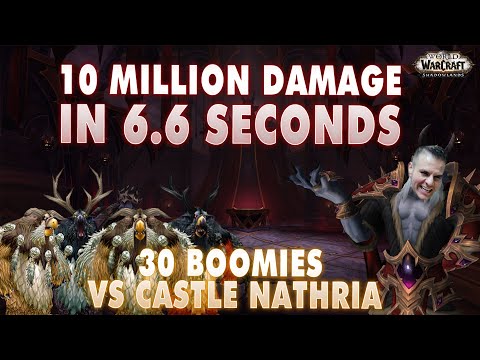 10 MILLION Damage in 6.6 Seconds???? - 28 Boomkins vs Castle Nathria - Echo Gingi Highlights