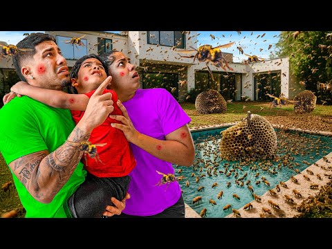 Our House Is INFESTED With BEES! 