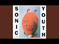 100 Percent by Sonic Youth