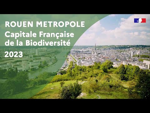 Métropole de Rouen : capitale française de la biodiversité 2023
