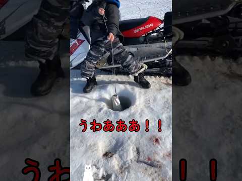 人々が毎年冬になるとワカサギ釣りにハマる理由