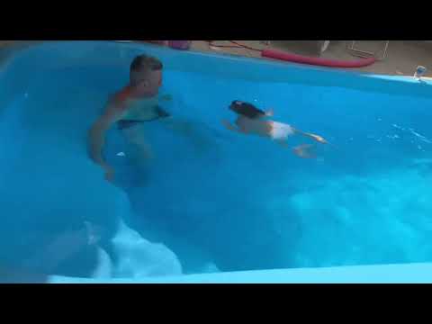 Laura aprendeu a nadar - 3 anos nadando - bebê nadando
