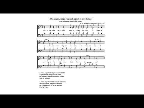 Geestelijke Liederen 230 Jezus mijn Heiland, groot is uwe liefde
