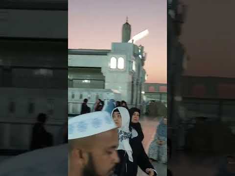 Riyazul Jannah  Fajr ki Namaz ke Baad ka Manzar #riyazuljannah #madinashareef