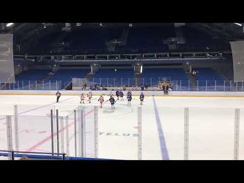 Blues Blue 1 vs Tappara Musta AAA+