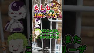 もしもというかフリーザとゾロからお願いです！