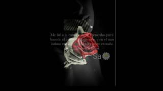 Lo que pudo ser (Alejandro Fernández)