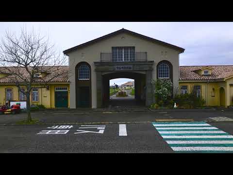 ソレイユの丘【空撮】 - m80031