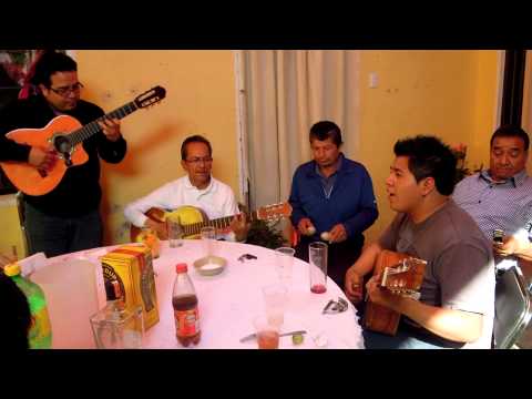 Tardes De Bohemia/Trio - Noche No Te Vayas