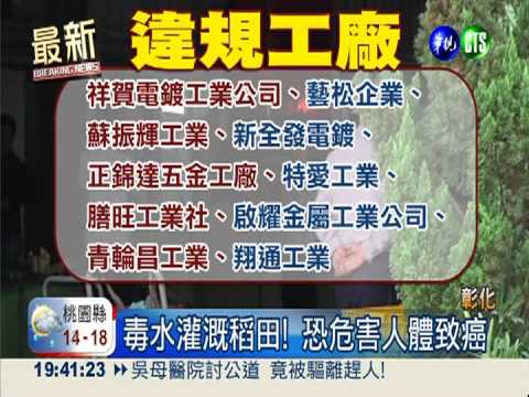 電鍍汙水流大竹排水溝 毒水染稻!