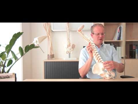 Ergänzungen nsp Osteochondrose Iyengar Yoga Gelenke