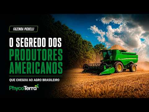 PhycoTerra: o segredo dos produtores americanos que chegou ao agro brasileiro