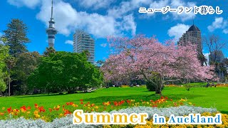 ニュージーランド暮らし|2種類のハムパン作り|夏のお花見|夜の海辺散歩