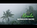 Why Kerala For Monsoon Best Monsoon Video