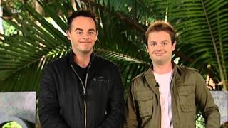 Dec Goes Crazy | I&#39;m A Celebrity... Get Me Out Of Here!