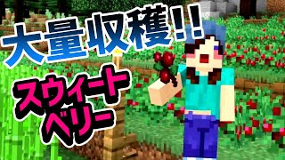 キツネの大好物を大量収穫するぞ！【マイクラpart11】