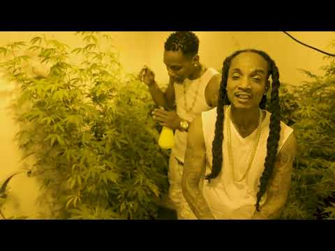 SD SQUAD x INNADY x OG - REEL