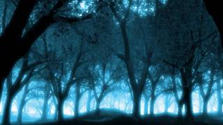 Kitaro - Symphony of the Forest