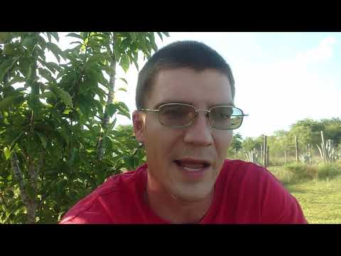 download lagu mp3 mp4 Can Cherry Blossoms Grow In Texas, download lagu Can Cherry Blossoms Grow In Texas gratis, unduh video klip Can Cherry Blossoms Grow In Texas