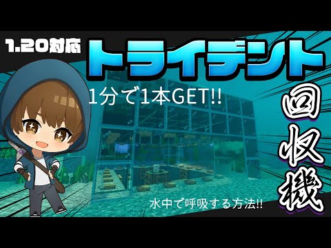 園芸 トライデント パーム