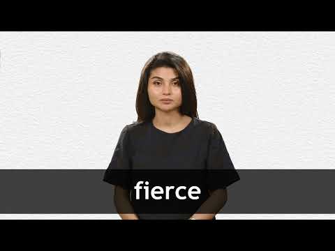 Pronunciation of Fierce  Definition of Fierce 