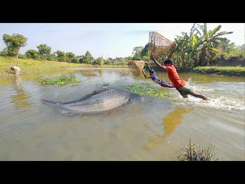Survival in the Rainforest - Amazing Automatic Longline Fishing Net Catch Giant Fish