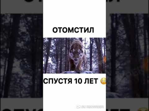 Отомстил Спустя 10 Лет😥