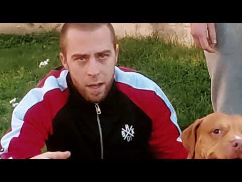 Rubio V2 - Nublao ☁ (Videoclip)